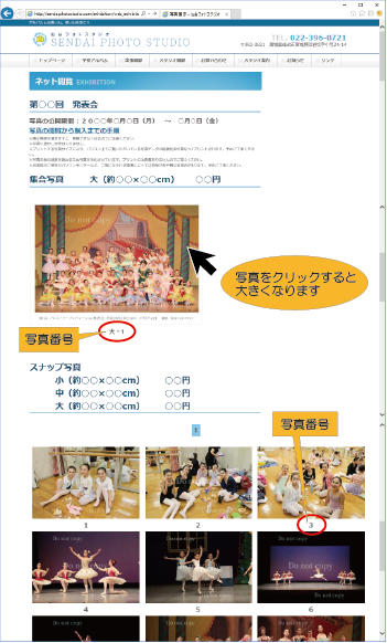 写真閲覧